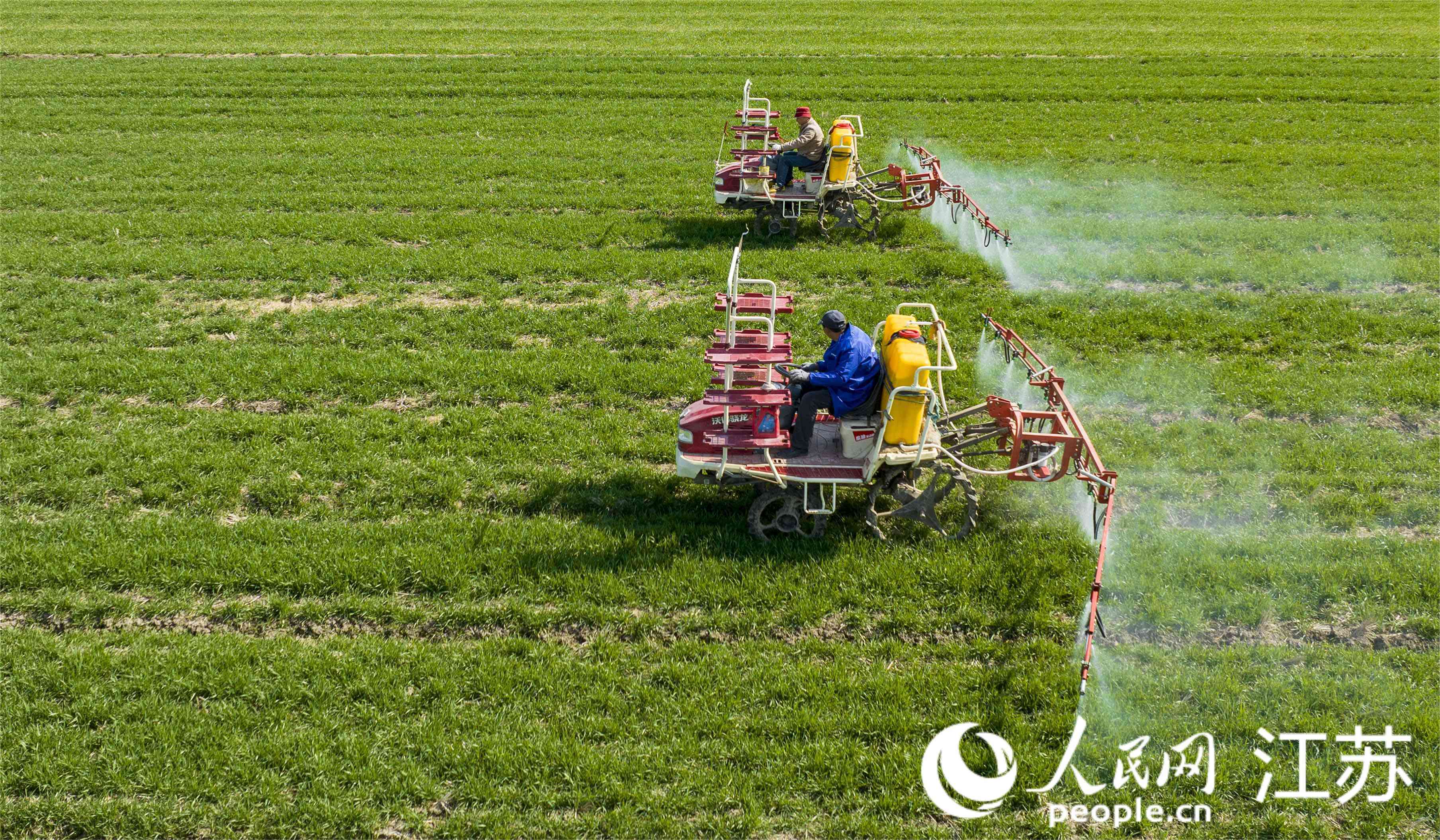 工作人員駕駛高桿噴霧機在田間作業(yè)。周社根攝