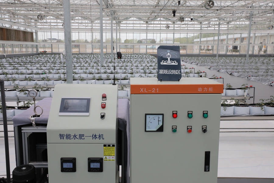 智慧大棚內(nèi)投入使用的智能水肥一體機(jī)。董自強(qiáng)攝