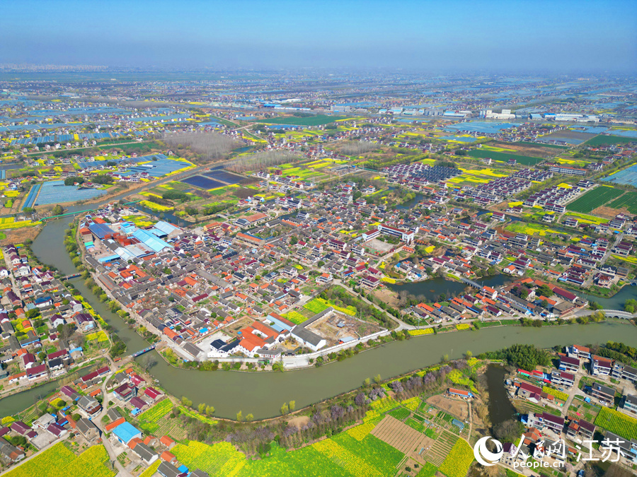 南通通州區(qū)田園鄉(xiāng)村美景如畫。人民網(wǎng)記者 王繼亮攝