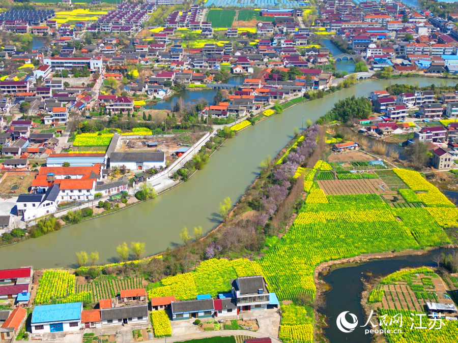 南通通州區(qū)田園鄉(xiāng)村美景如畫。人民網(wǎng)記者 王繼亮攝