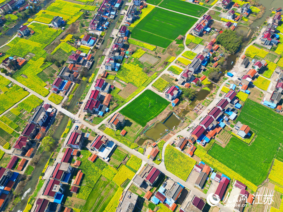 南通通州區(qū)田園鄉(xiāng)村美景如畫。人民網(wǎng)記者 王繼亮攝