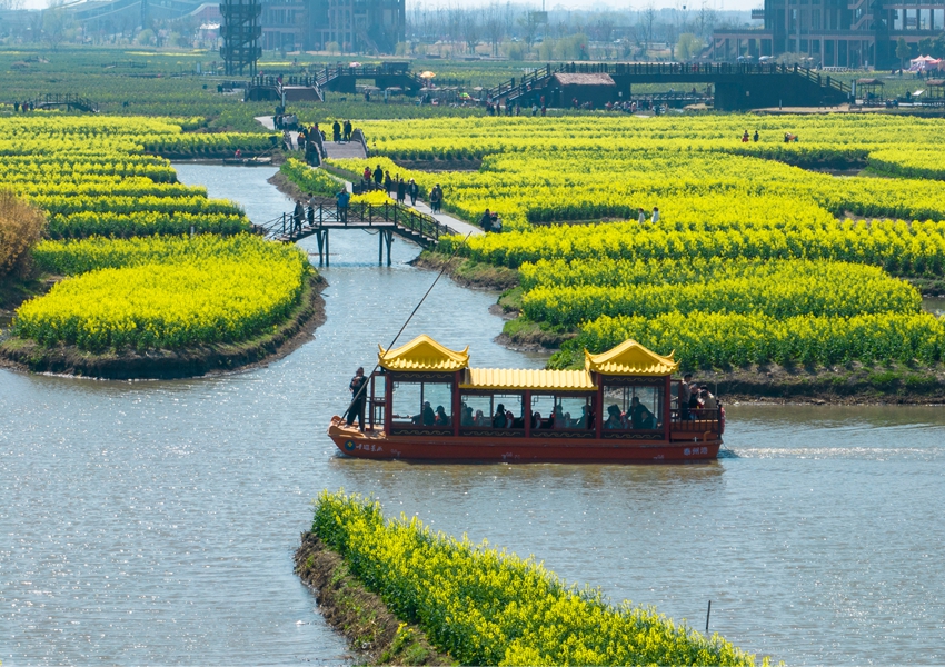 游客乘船游覽花海。周社根攝