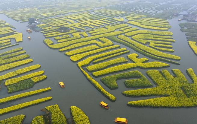 活動現(xiàn)場，游客在景區(qū)賞花游玩。周社根攝