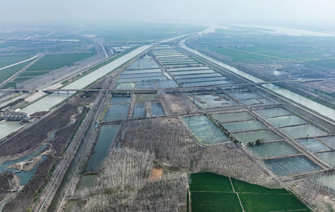 蔣壩鎮(zhèn)螺螄養(yǎng)殖示范基地。洪宣攝