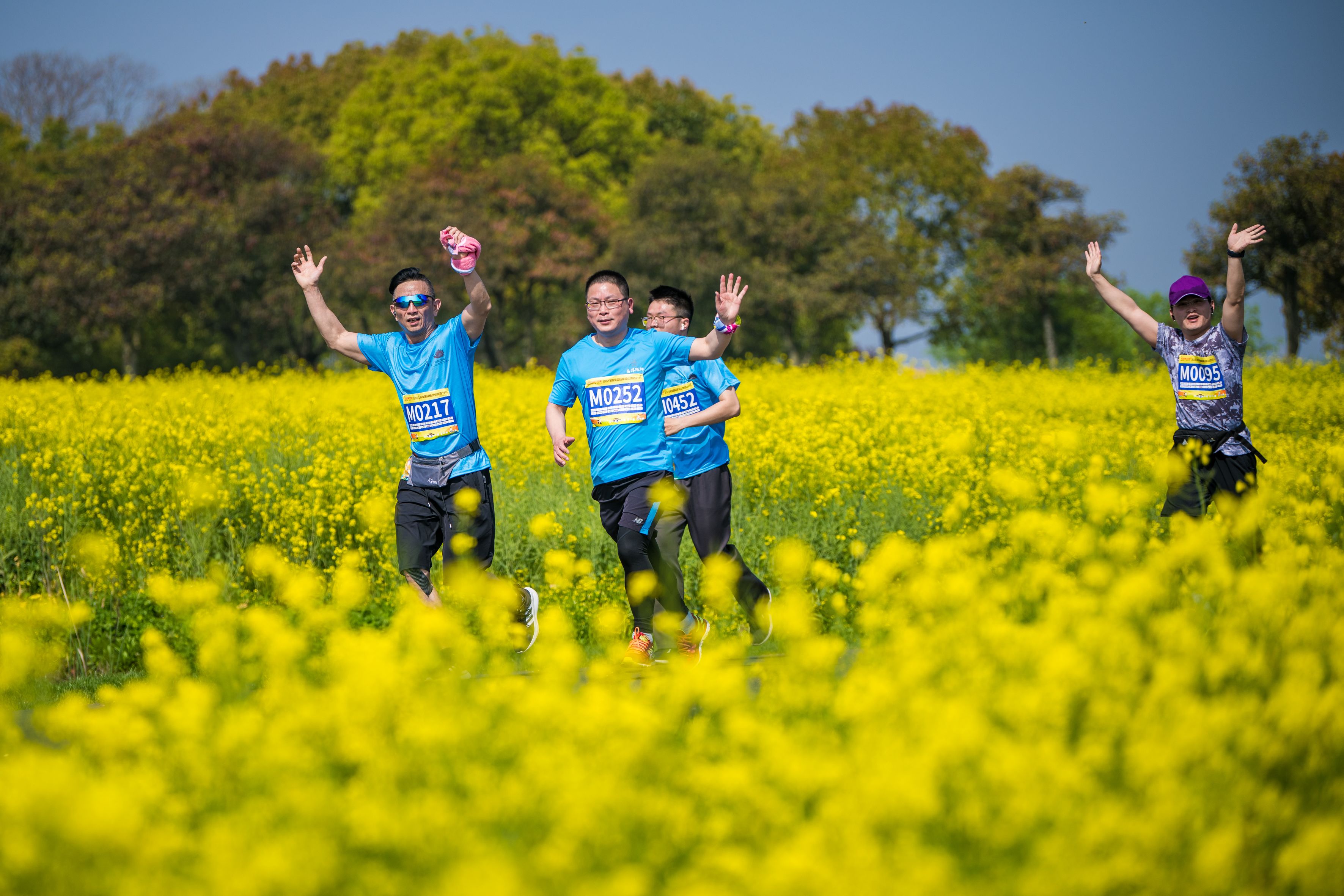 參賽者在金花叢中競(jìng)跑。劉列攝