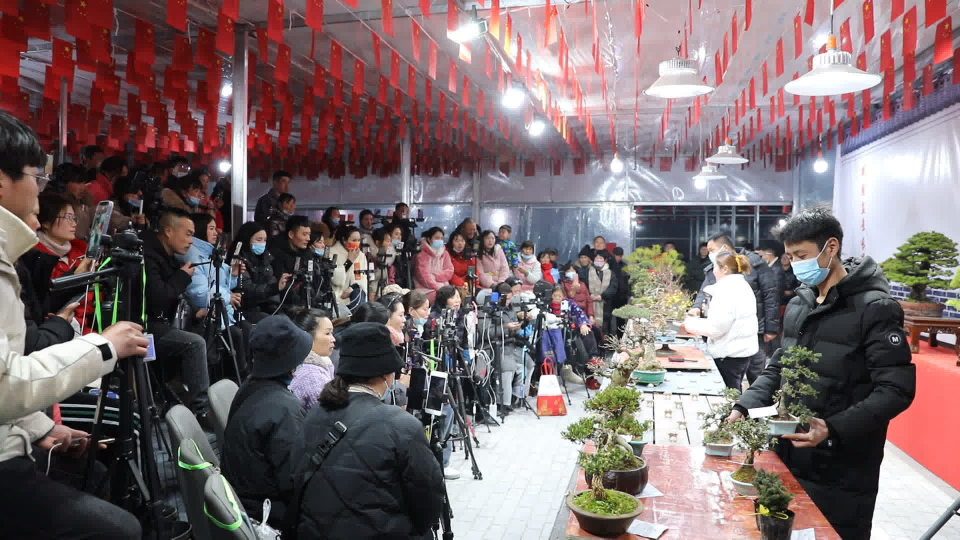 沭陽(yáng)花木“紅色直播間”矩陣直播。沭陽(yáng)縣委宣傳部供圖