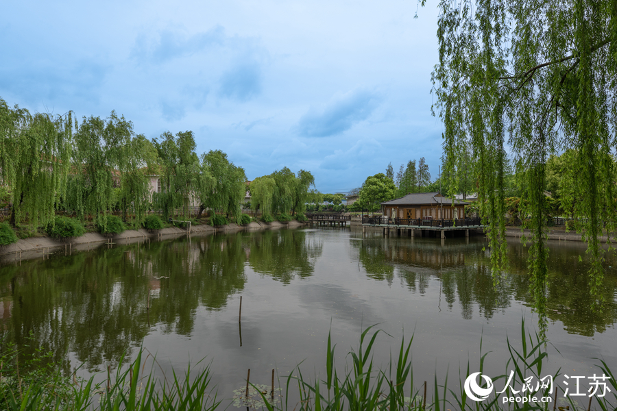 生態(tài)成為蔣巷村的一張亮眼名片。人民網(wǎng) 馬燾燾攝