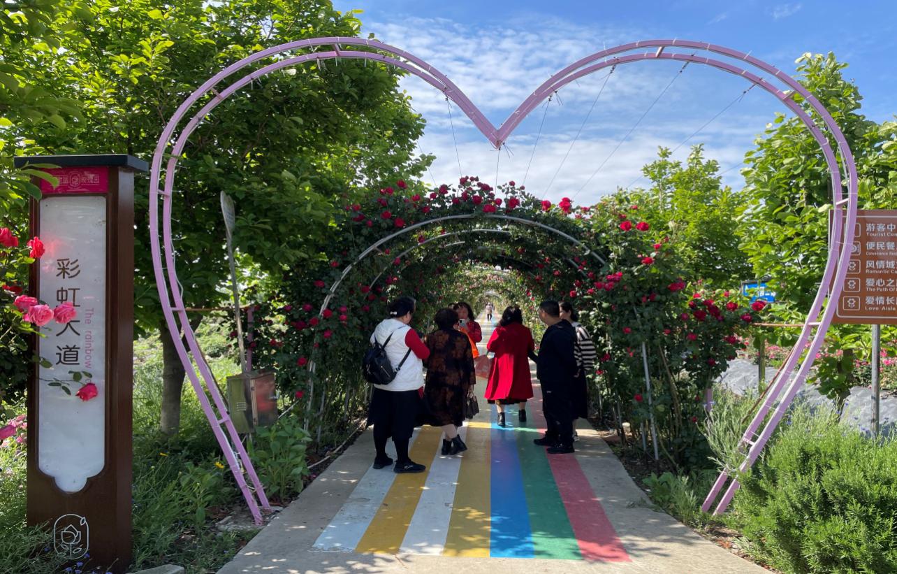 游客在彩虹步道打卡拍照。寶應(yīng)煙草供圖