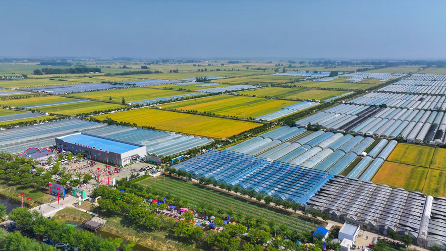 航拍泗洪縣魏營(yíng)鎮(zhèn)萬(wàn)畝西瓜種植基地。馮雪強(qiáng)攝