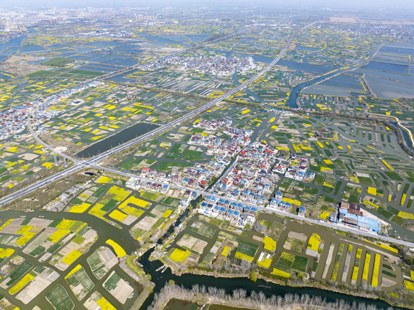 春天里的水鄉(xiāng)興化。周社根攝