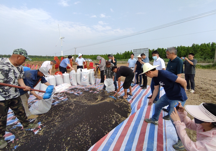 張綠林種植的鹽堿地油菜新品種現(xiàn)場測產(chǎn)。東臺市農(nóng)業(yè)技術(shù)推廣中心供圖