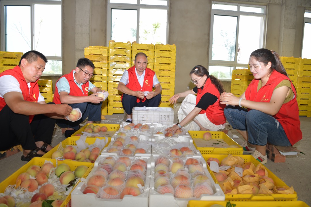 志愿者幫忙包裝水蜜桃。泗洪煙草供圖