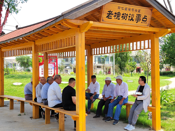 宿豫區(qū)仰化鎮(zhèn)老槐樹議事點。沈晶晶攝