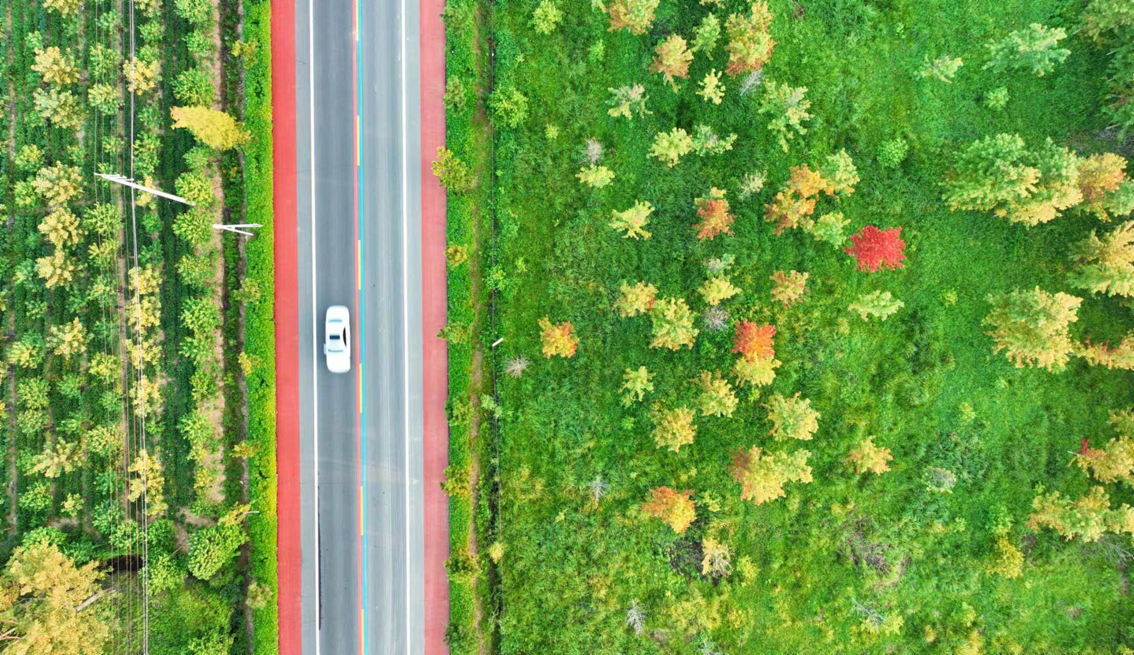 航拍東海縣鄉(xiāng)村公路。東海縣委宣傳部供圖