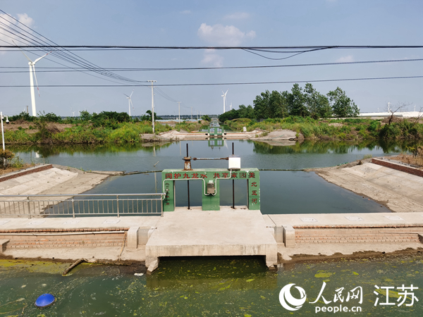 南大安高檢測(cè)研究如東機(jī)構(gòu)治理后的北五河達(dá)到省標(biāo)。人民網(wǎng)記者王繼亮攝