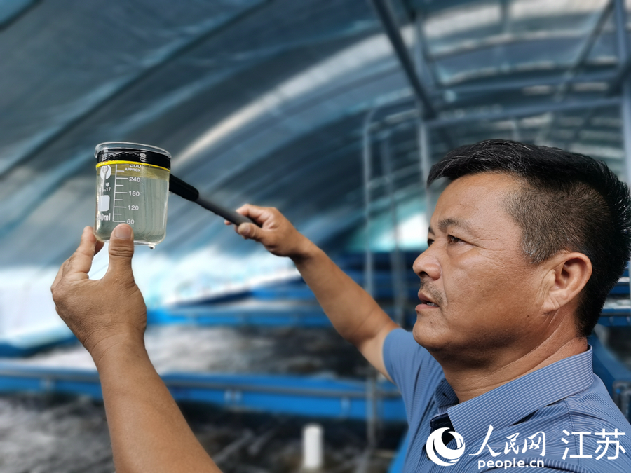 村民袁日兵正在觀察自己培育的蝦苗。人民網(wǎng)記者 王繼亮攝