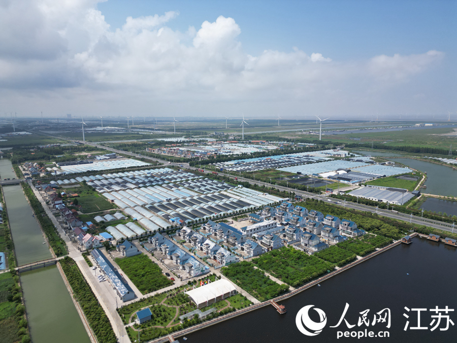 航拍近海村。人民網(wǎng)記者 王繼亮攝