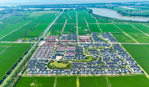 灌南縣境內(nèi)高標(biāo)準(zhǔn)農(nóng)田。灌南縣委宣傳部供圖