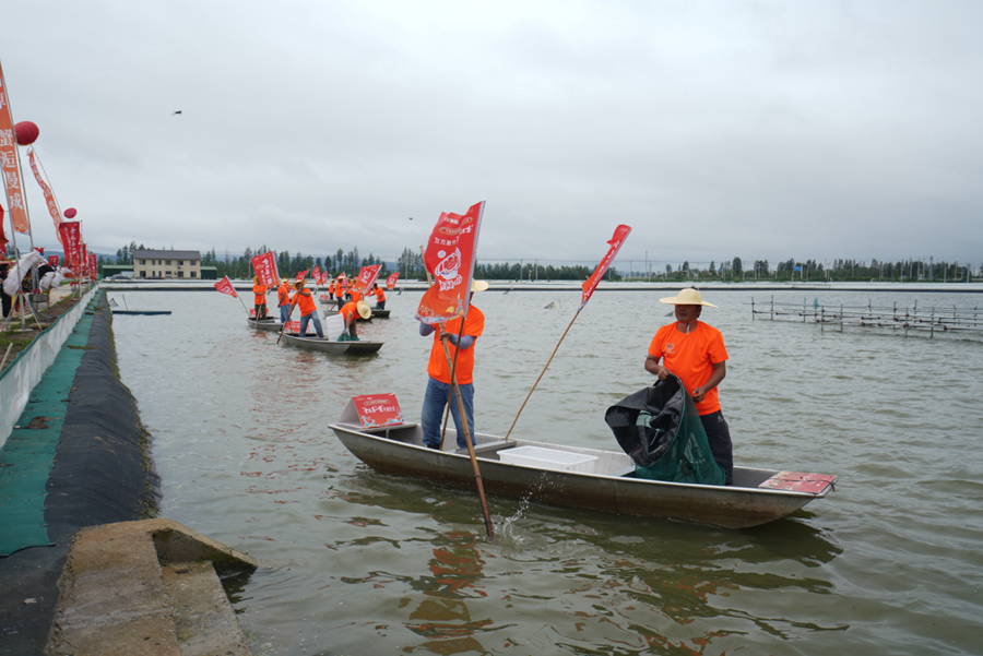 “金秋第一蟹”捕撈現(xiàn)場。馬義超攝
