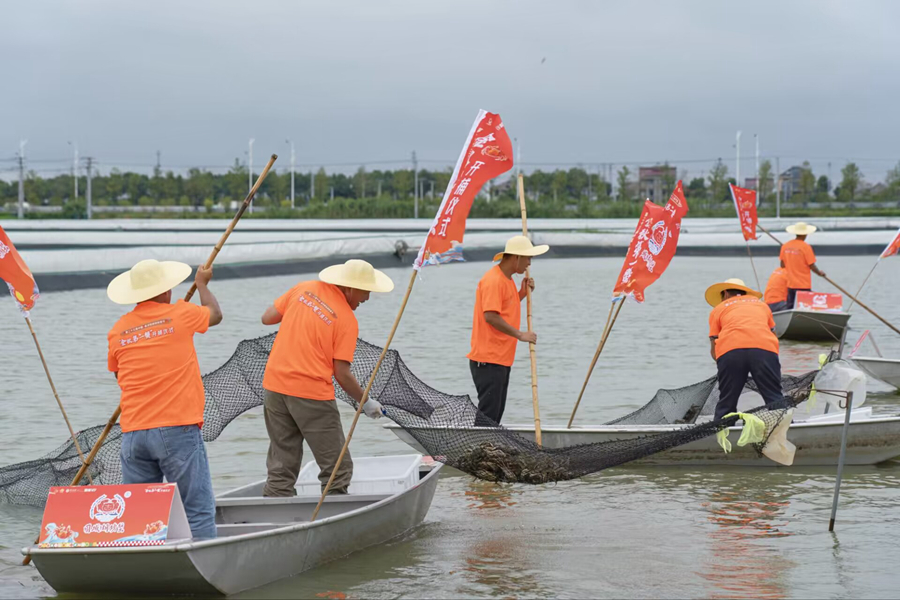 “金秋第一蟹”捕撈現(xiàn)場。高淳區(qū)委宣傳部供圖