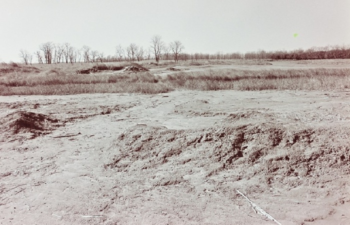 曾經(jīng)的野鹿蕩是一片荒地。鹽城市委宣傳部供圖