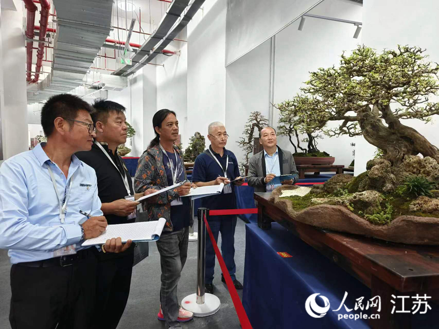 參會嘉賓欣賞盆栽。人民網(wǎng) 范堯攝