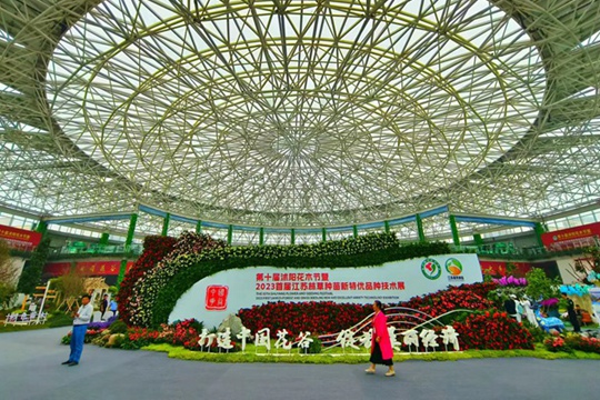 江蘇沭陽：打造“中國花谷” 綻放美麗經濟