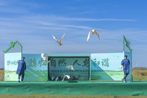 朱鹮放歸現(xiàn)場。周晨曦攝