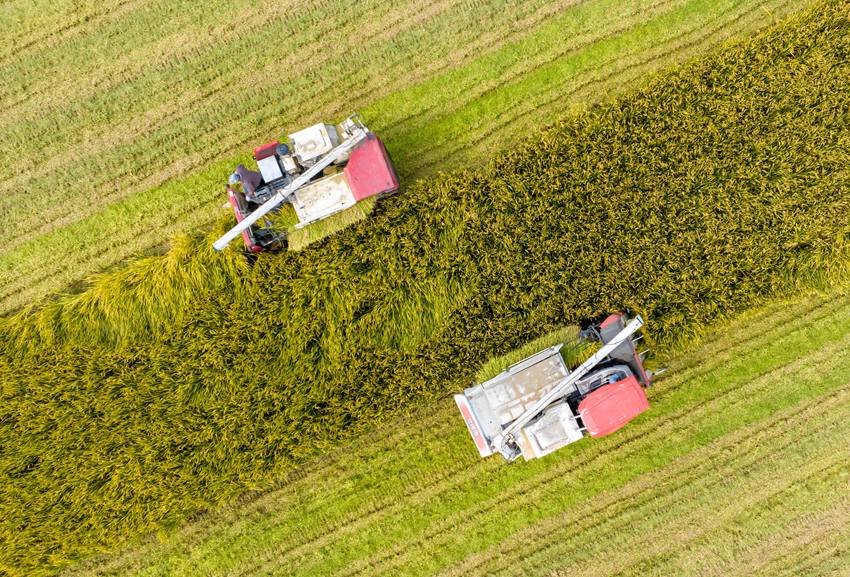 農(nóng)民駕駛農(nóng)機(jī)收割水稻。周社根攝