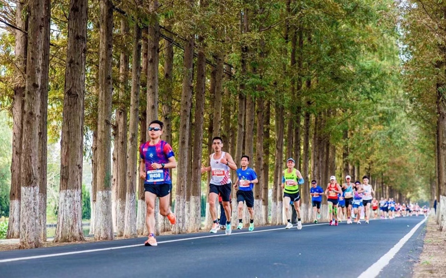 選手經(jīng)過水杉大道賽段。賽事組委會(huì)供圖