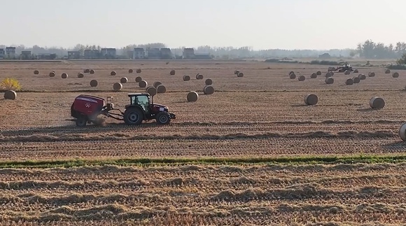 秸稈回收打包現(xiàn)場(chǎng)。孫蓀攝