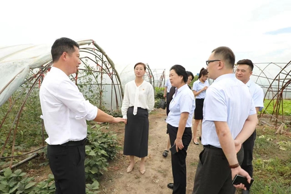 小蕩村與林源集團黨組織在田間調(diào)研。新壩鎮(zhèn)供圖