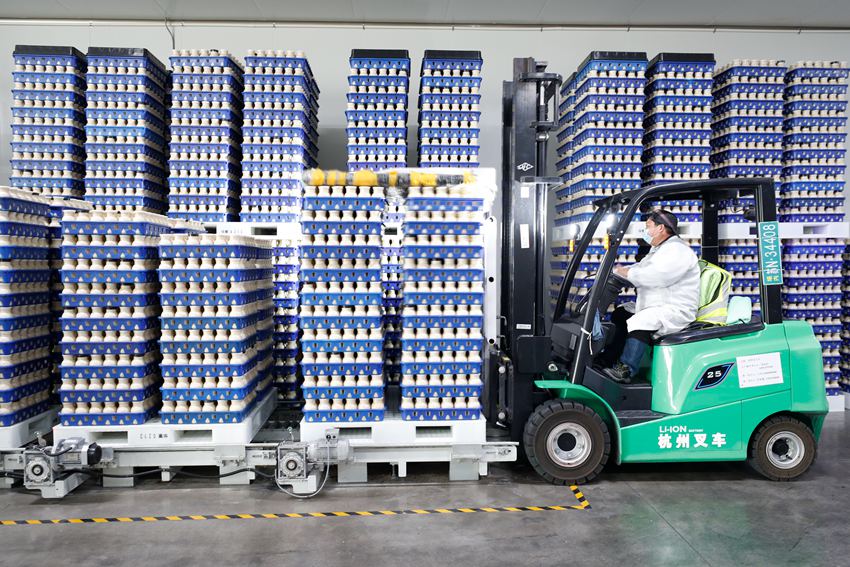 工作人員正在廠內(nèi)運(yùn)輸食用菌菌瓶。裴成攝