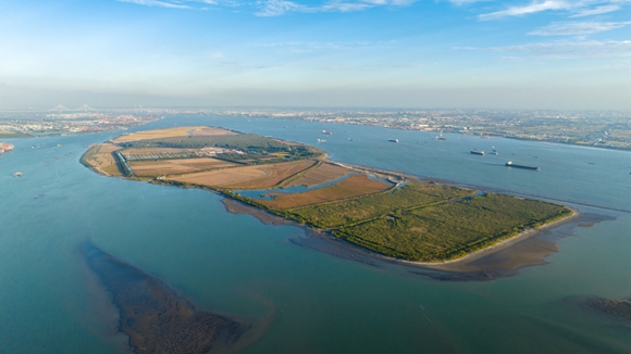 馬洲島吸引了數(shù)萬只鳥類棲息補(bǔ)給。靖江市委宣傳部供圖