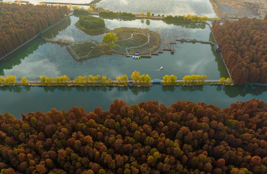 航拍里下河國家濕地公園。周社根攝