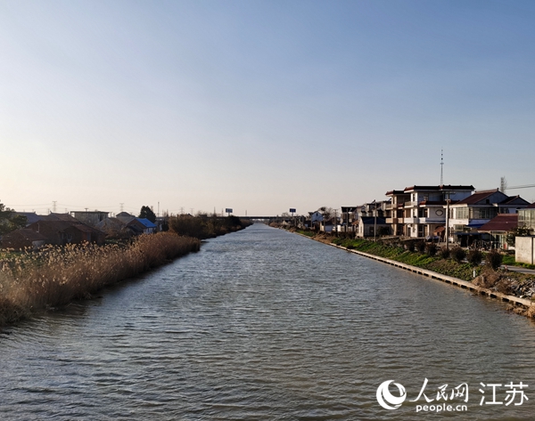 治理后煥然一新的十總遙望港河。人民網(wǎng)記者 王繼亮攝