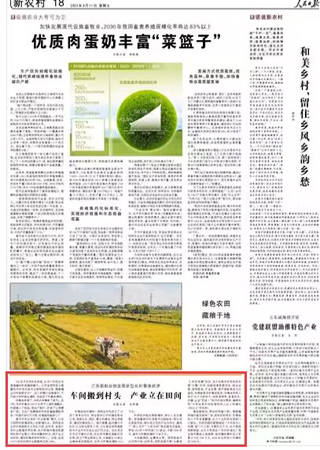 2023-08-11                            江蘇泗陽：車間搬到村頭 產(chǎn)業(yè)立在田間                          500多平方米的車間里，80多個村民正在高速縫紉機前縫制帽子。江蘇省泗陽縣王集鎮(zhèn)花井村黨支部書記胡棟告訴記者，捷鋒帽業(yè)與村里聯(lián)手辦廠，加工的帽子遠銷海外，不僅助力村民就業(yè)增收，也促進了村集體增收。                                             村集體有錢了，為民辦實事有了底氣。近3年，花井村拿出300萬元用于人居環(huán)境整治，村道鋪上了柏油、架設(shè)了路燈，改造了公園健身廣場。正在廣場晨練的村民張富超滿臉笑容：“村里的變化可大啦，住著越來越舒心！”                    【詳細】                 《 人民日報 》（ 2023年08月11日 08 版）            