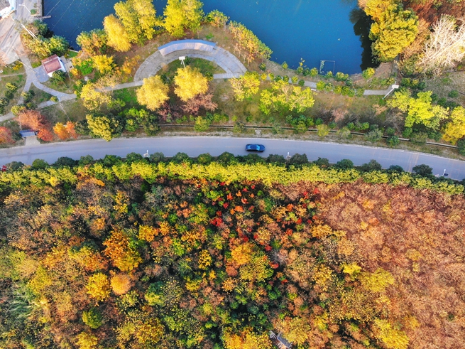 綠美村莊建設(shè)后的源湖村村貌。江寧區(qū)委宣傳部供圖