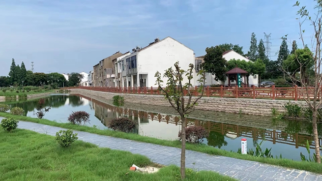 岑村陸家頭浜濱水景觀。武進(jìn)區(qū)委宣傳部供圖