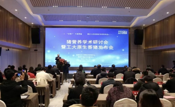 會議現(xiàn)場。高淳區(qū)委宣傳部供圖