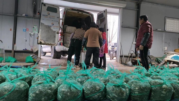 一批優(yōu)質(zhì)蟹苗正在裝車準(zhǔn)備發(fā)往外地。灌南縣委宣傳部供圖