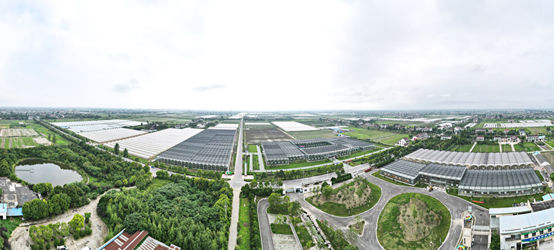 泰興市農(nóng)產(chǎn)品加工園區(qū)。泰興市融媒體中心供圖