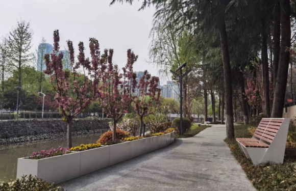 改造后的沙洲中河濱河綠道。受訪者供圖