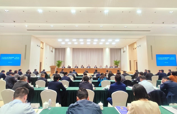 點評會現(xiàn)場。江寧區(qū)委宣傳部供圖