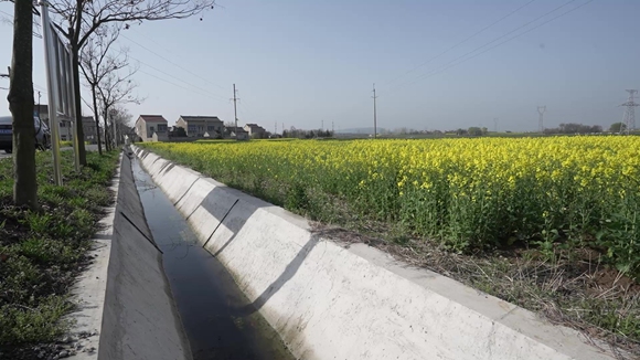 土地整治后，基礎(chǔ)設(shè)施也得到了完善。張雅茜攝