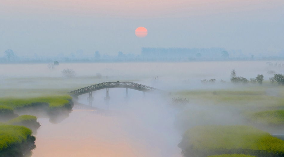 霧間的垛田花海猶如水墨畫。史道智攝