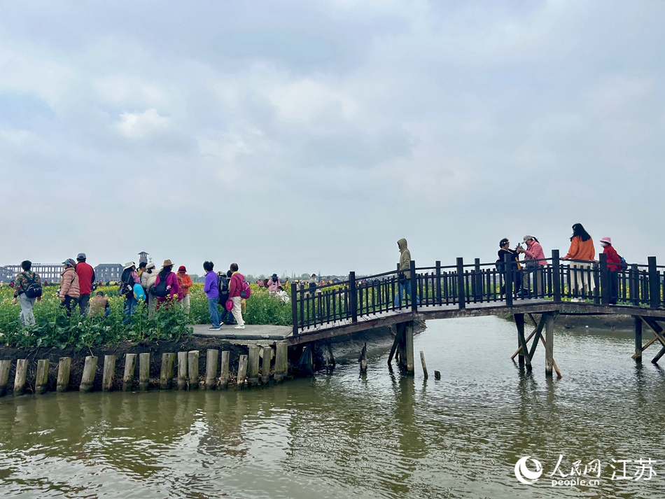 游客競相觀賞垛田花海。人民網(wǎng) 王丹丹攝