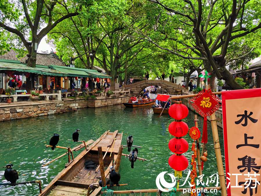 同里古鎮(zhèn)的游船與鸕鶿。人民網(wǎng)記者 王繼亮攝