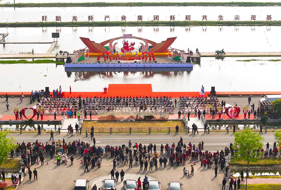 盱眙龍蝦開捕現(xiàn)場。許昌銀攝