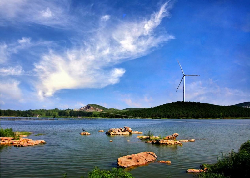 遠(yuǎn)眺張圩林區(qū)。睢寧縣自規(guī)局供圖